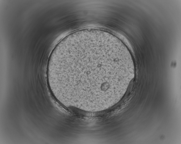 X0000096640954200803041123