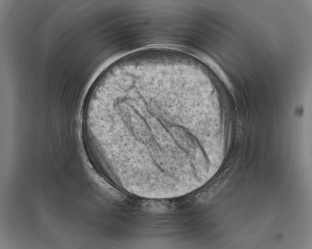 X0000096640955200803041123