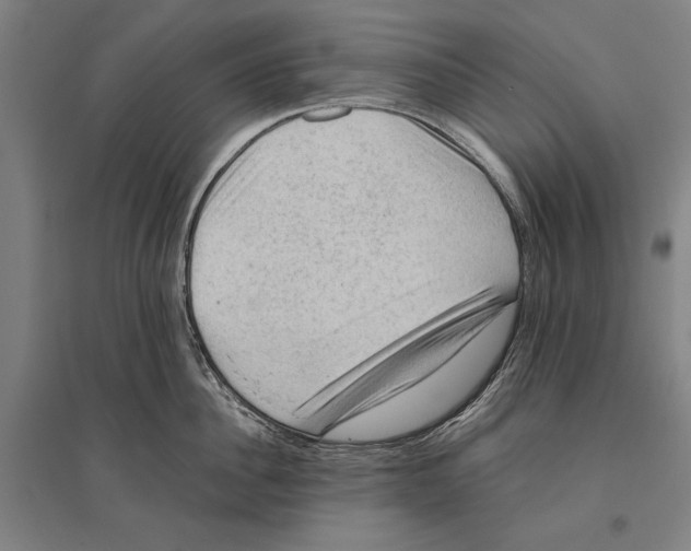 X0000096640956200803041123