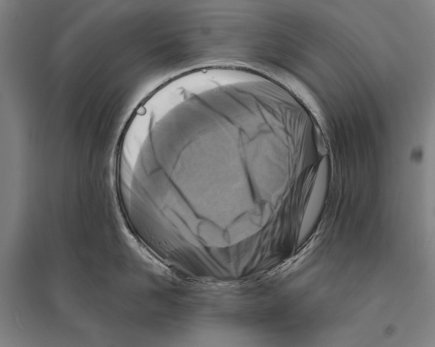 X0000096640958200803041123