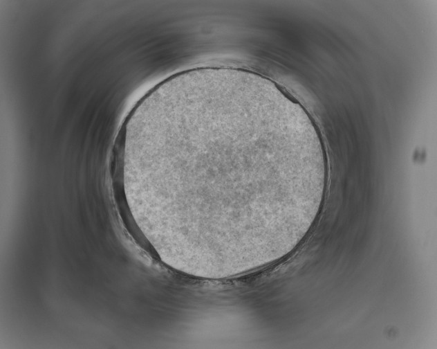 X0000096640960200803041123