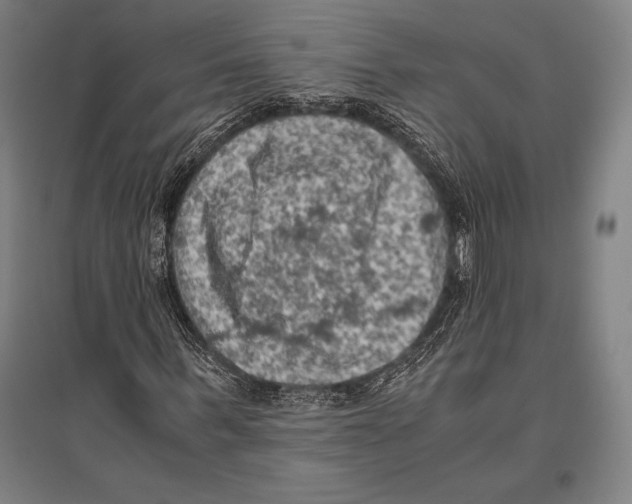 X0000096640963200803041123