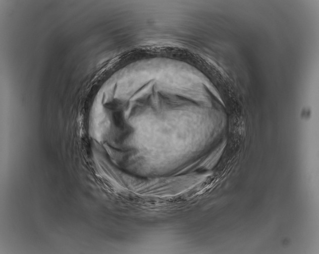 X0000096640965200803041123