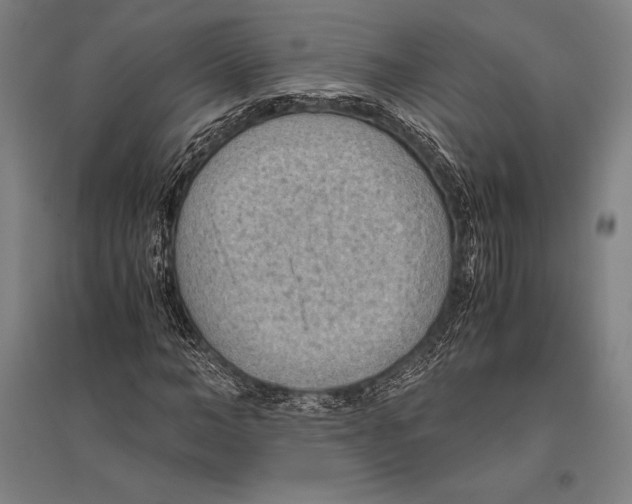 X0000096640966200803041123