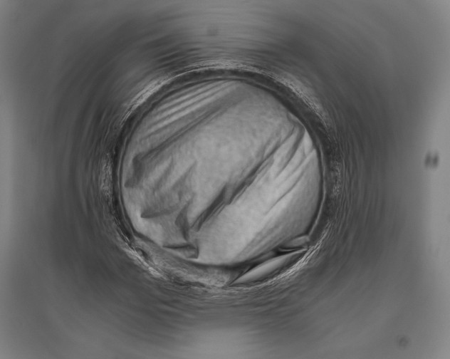 X0000096640969200803041123