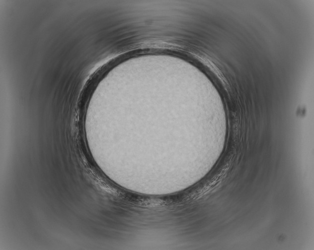 X0000096640971200803041123