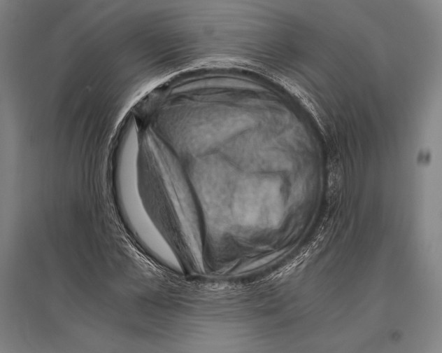 X0000096640973200803041123