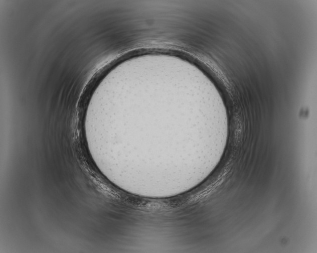 X0000096640974200803041123