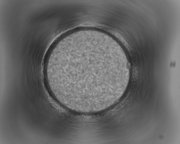 X0000096640976200803041123