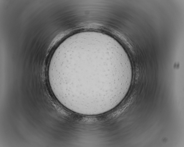 X0000096640978200803041123