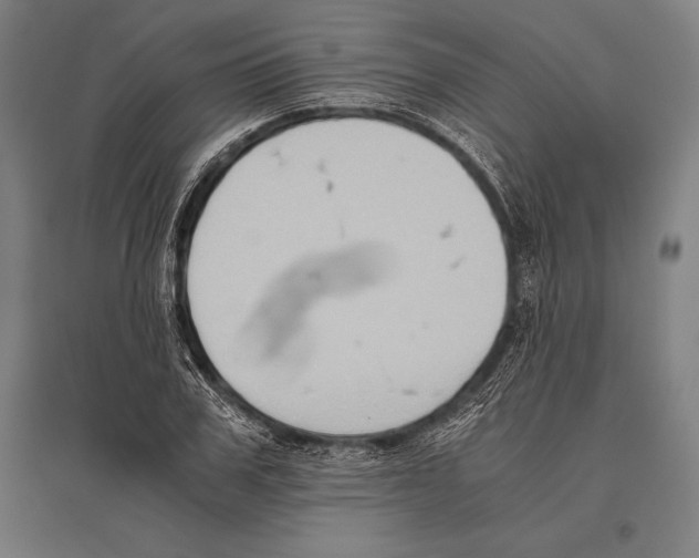 X0000096640979200803041123