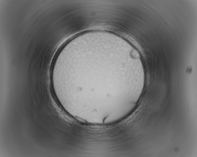 X0000096640980200803041122