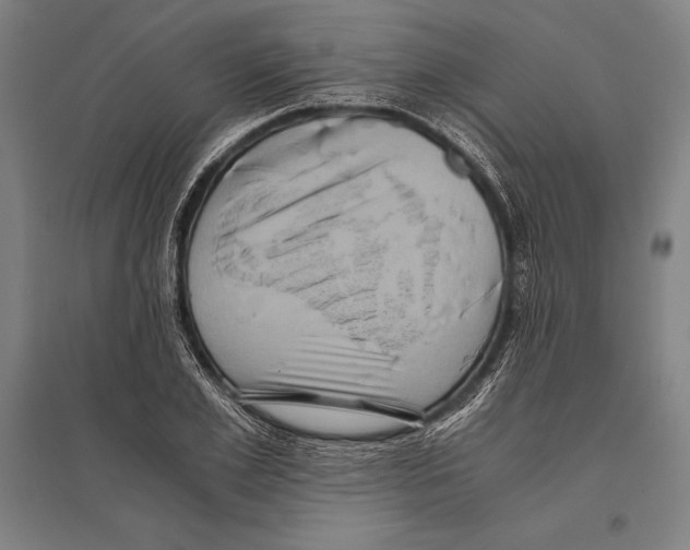 X0000096640981200803041122