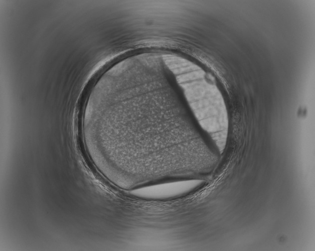 X0000096640983200803041122