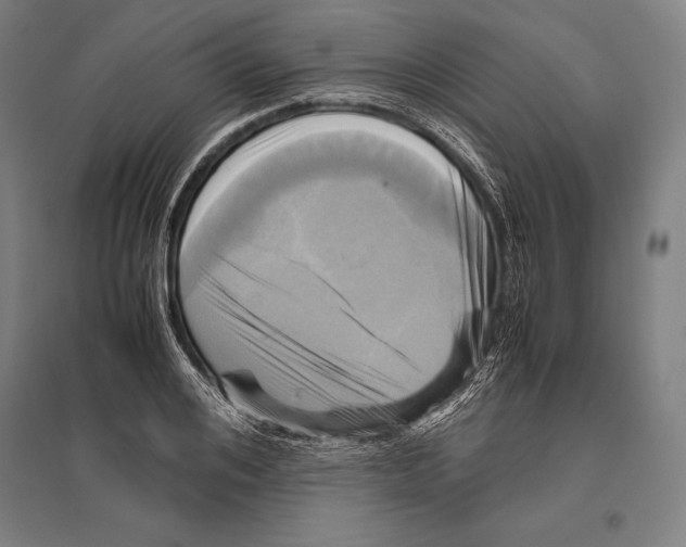 X0000096640984200803041122