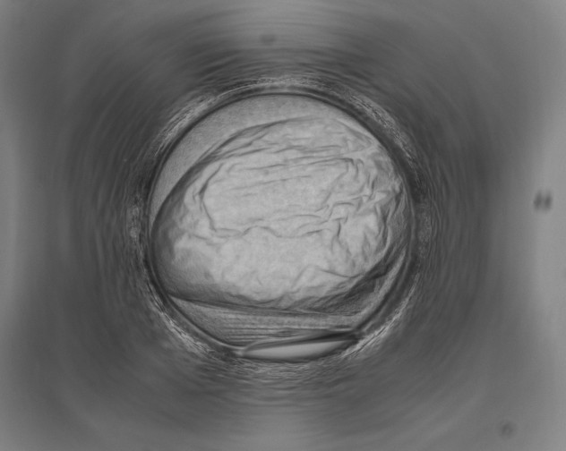 X0000096640985200803041122