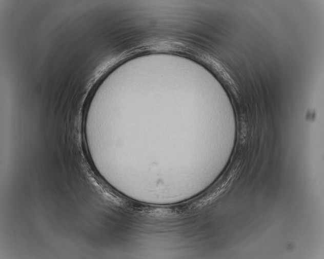 X0000096640986200803041122