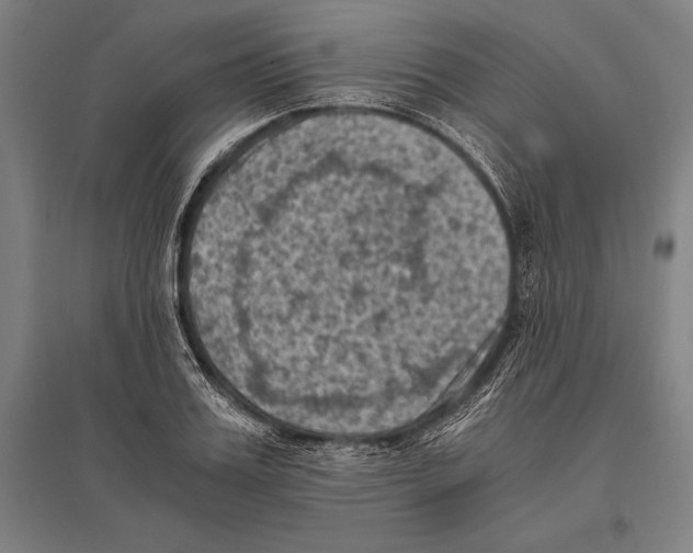 X0000096640987200803041122