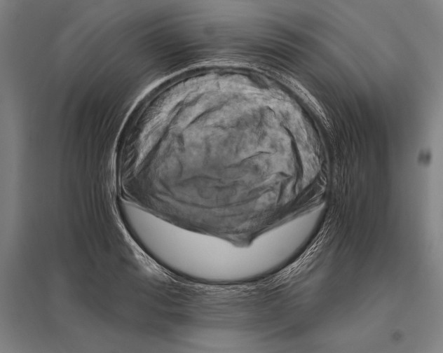 X0000096640988200803041122