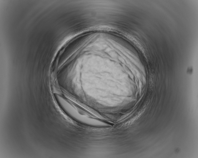 X0000096640989200803041122