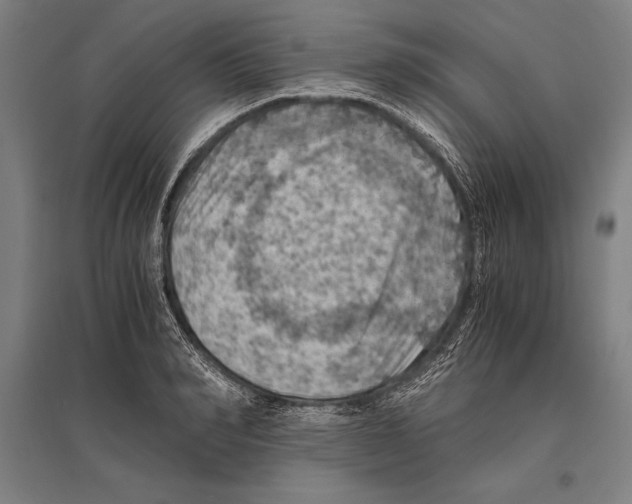 X0000096640990200803041122