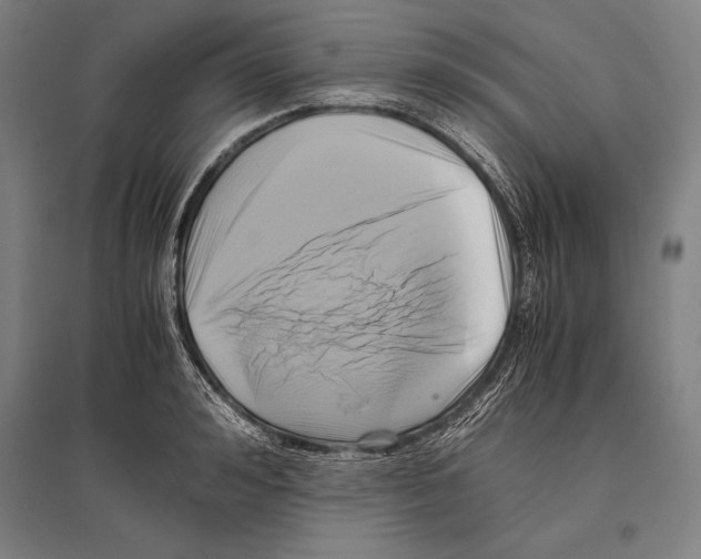 X0000096640992200803041122