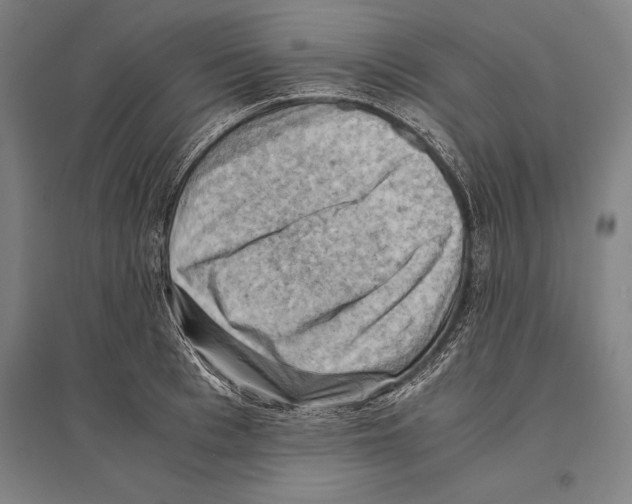 X0000096640993200803041122