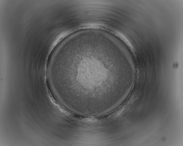 X0000096640994200803041122