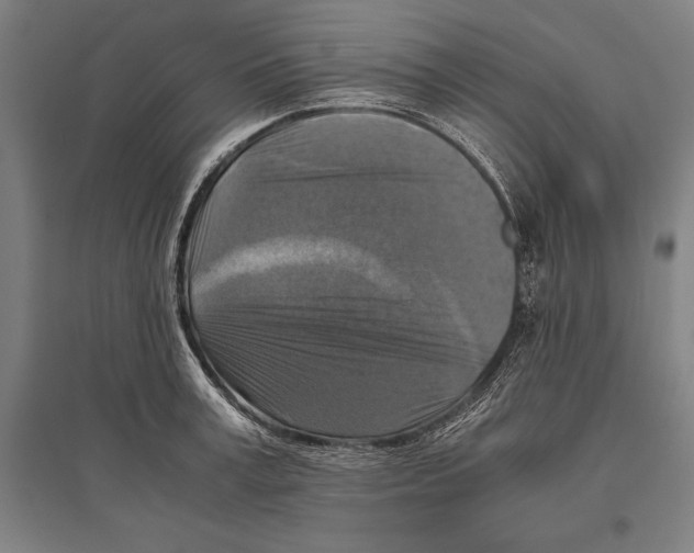 X0000096640995200803041122