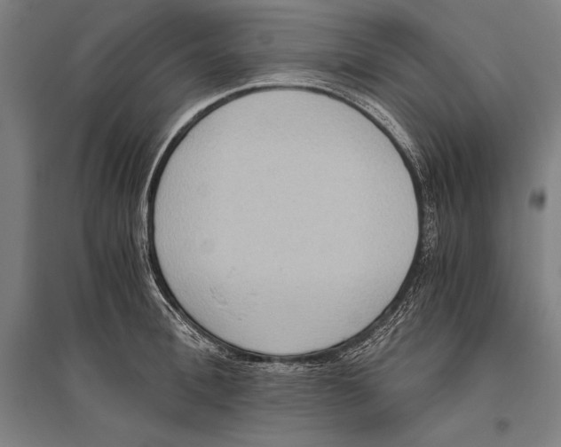 X0000096640996200803041122