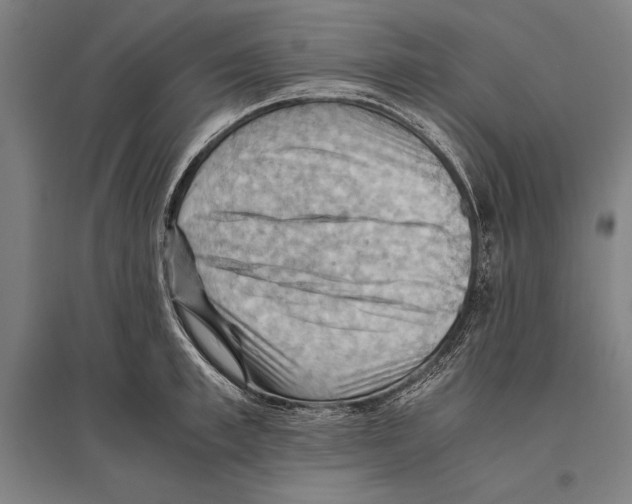 X0000096640997200803041122