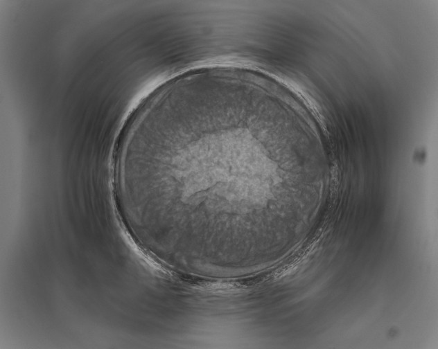 X0000096640998200803041122