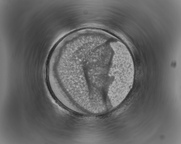 X0000096640999200803041122