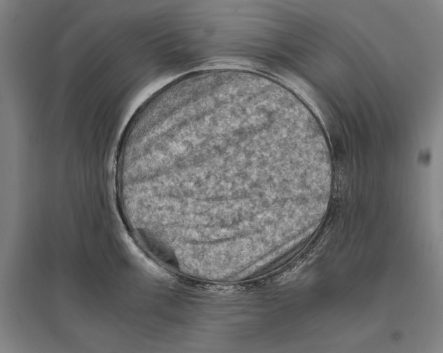 X0000096641003200803041122