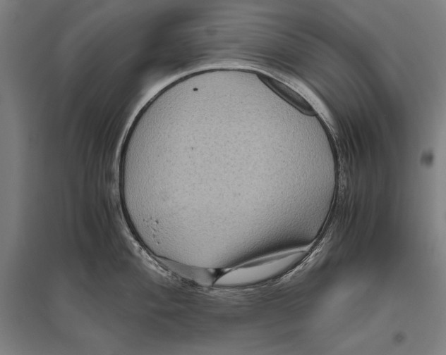 X0000096641004200803041122