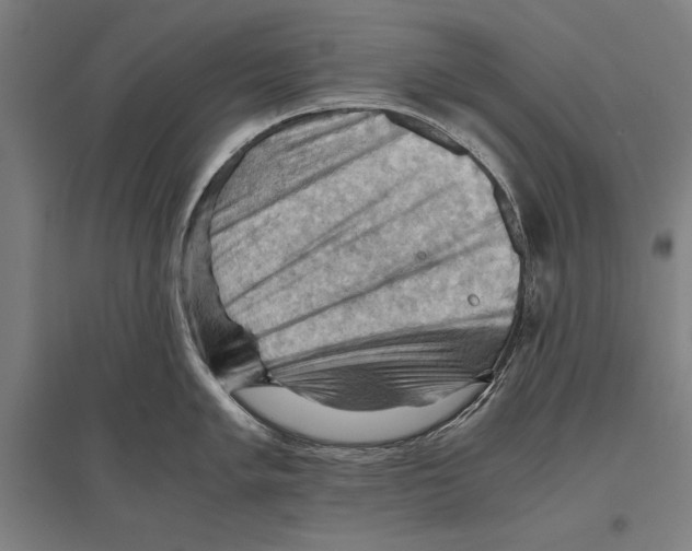 X0000096641005200803041122