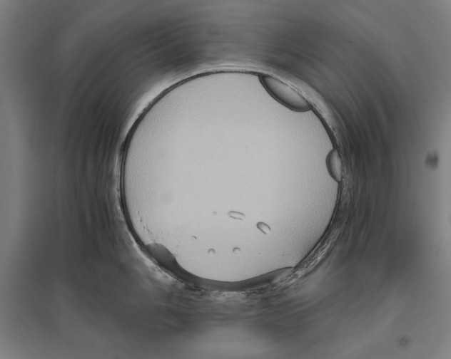 X0000096641006200803041122