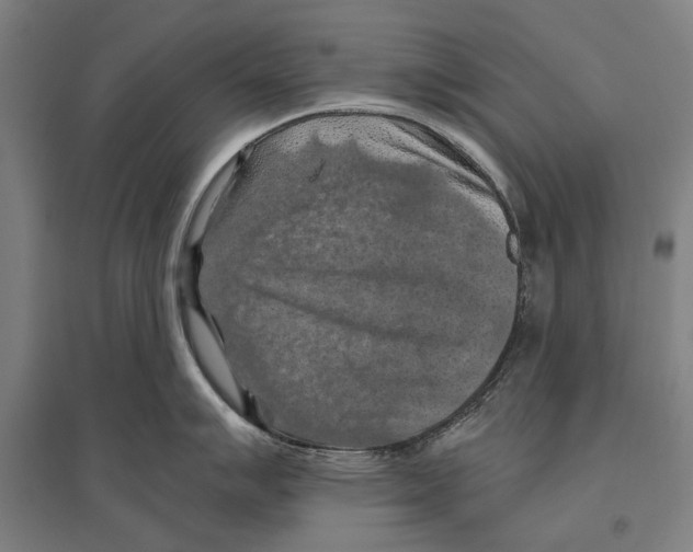 X0000096641007200803041122