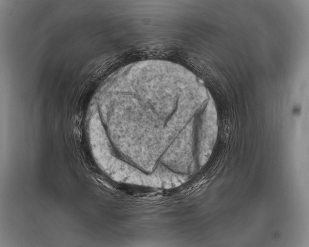 X0000096641010200803041121