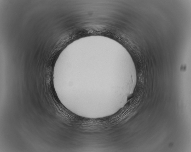 X0000096641012200803041121