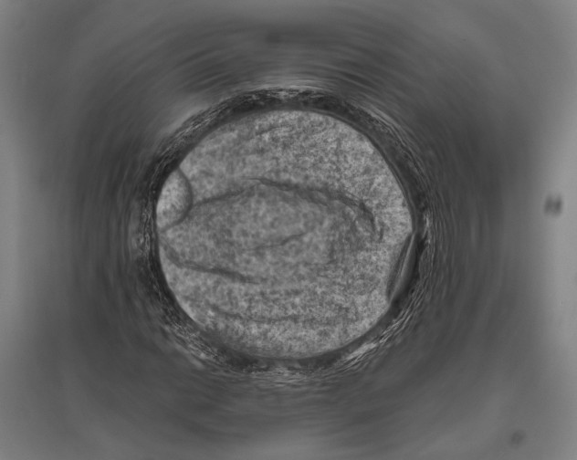 X0000096641014200803041121