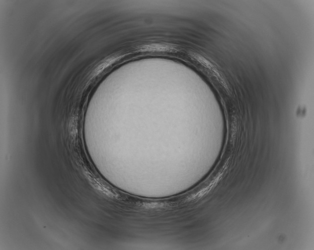 X0000096641017200803041121