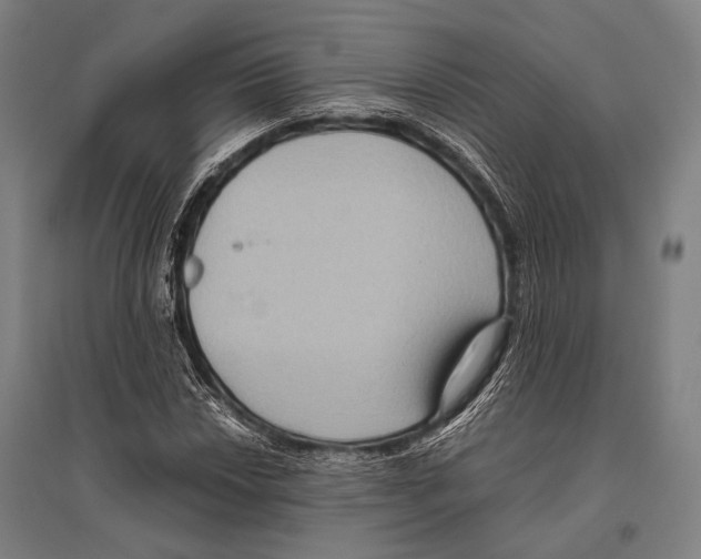 X0000096641018200803041121