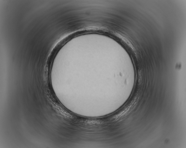 X0000096641021200803041121