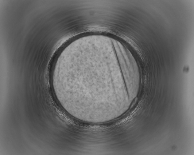 X0000096641022200803041121