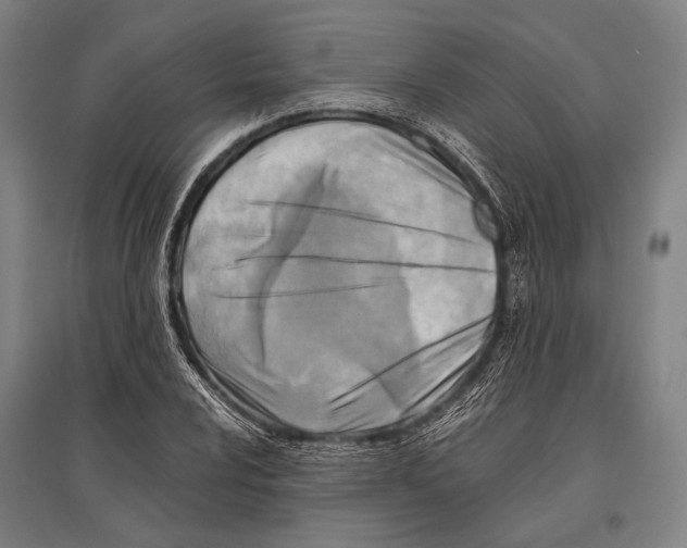 X0000096641024200803041121