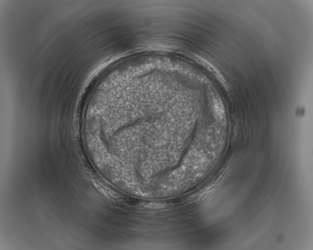 X0000096641027200803041122