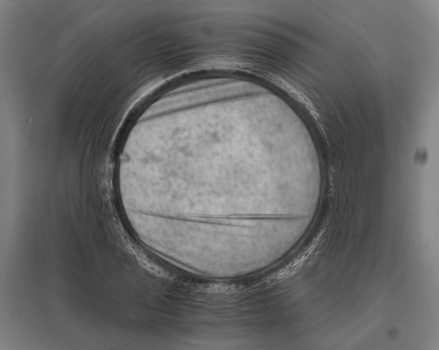 X0000096641029200803041122