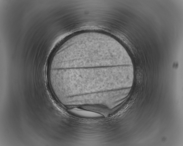 X0000096641030200803041122