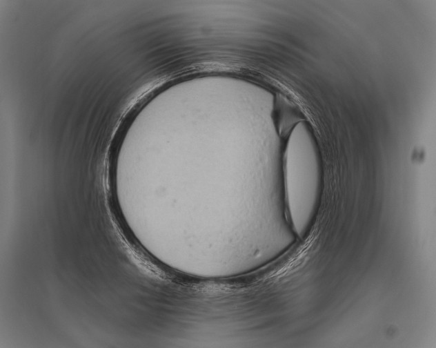 X0000096641034200803041122